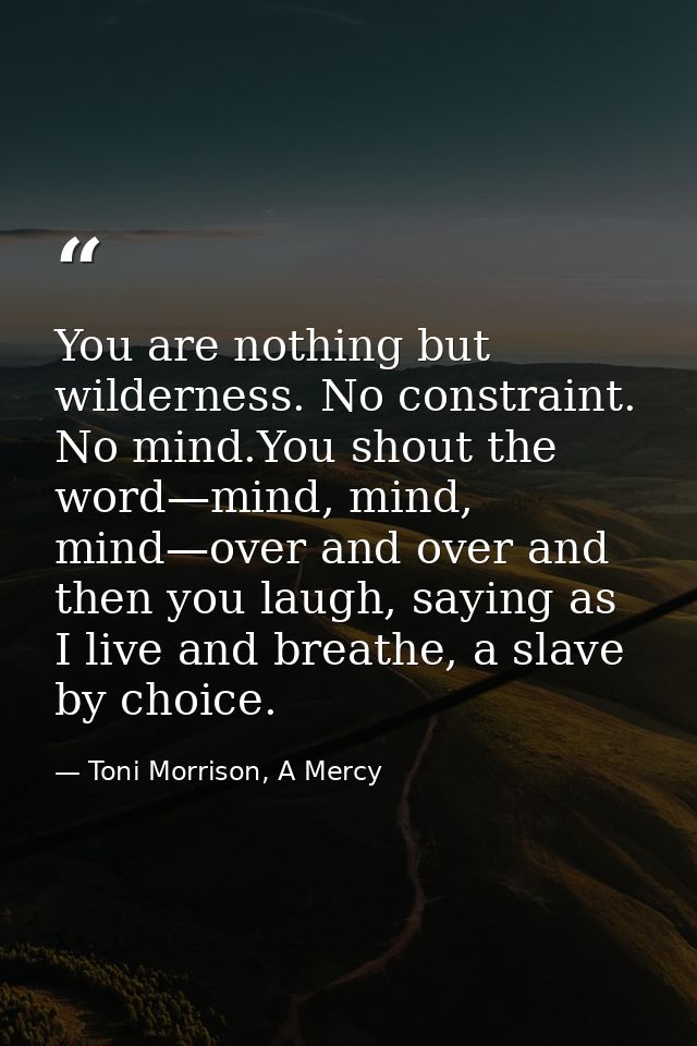 You are nothing but wilderness. No constraint. No mind.You shout the word—mind, mind, mind—over and over and then you la — Toni Morrison, A Mercy