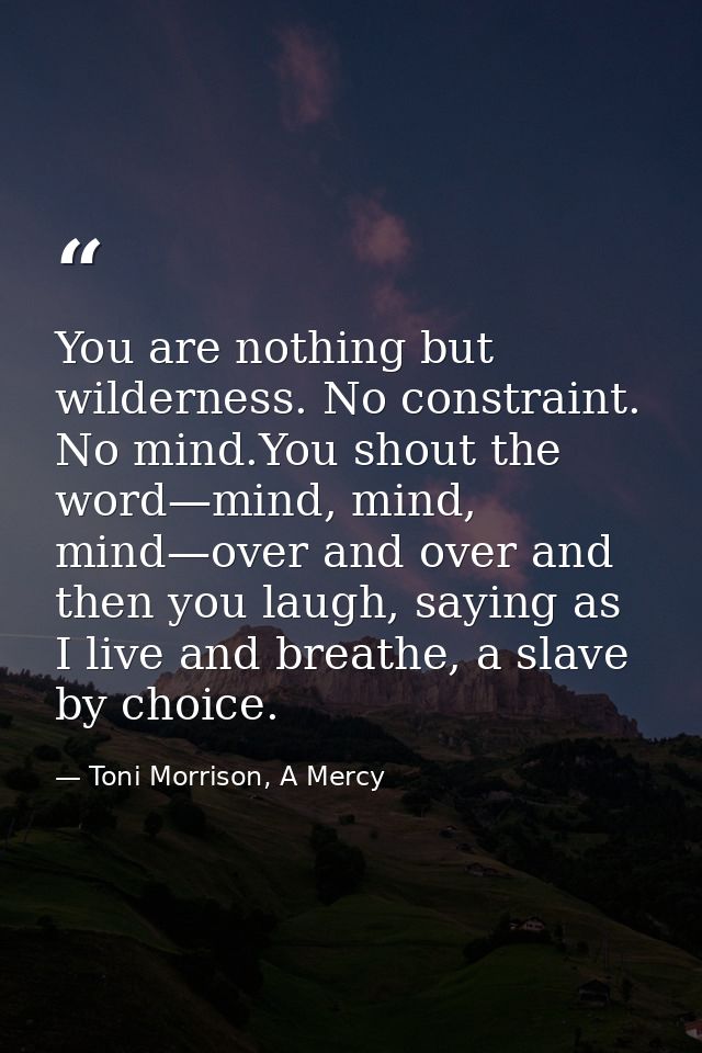 You are nothing but wilderness. No constraint. No mind.You shout the word—mind, mind, mind—over and over and then you la — Toni Morrison, A Mercy