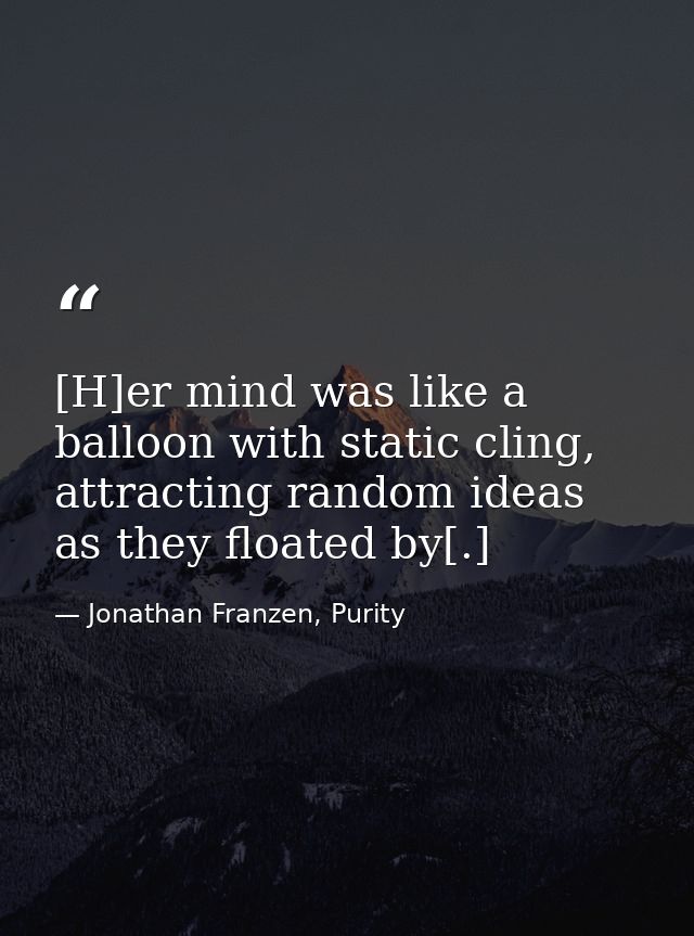[H]er mind was like a balloon with static cling, attracting random ideas as they floated by[.] — Jonathan Franzen, Purity