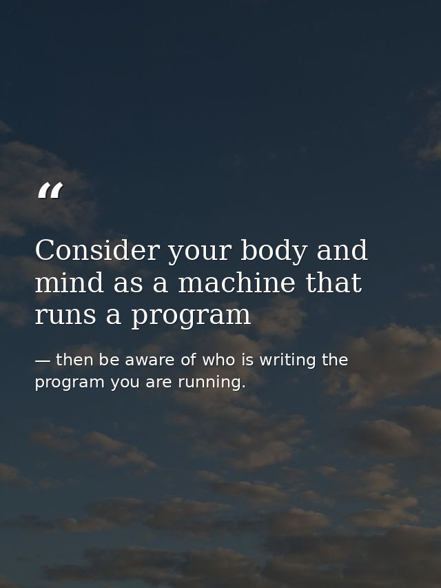Consider your body and mind as a machine that runs a program — then be aware of who is writing the program you are running.