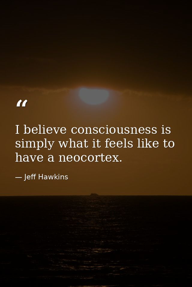 I believe consciousness is simply what it feels like to have a neocortex. — Jeff Hawkins