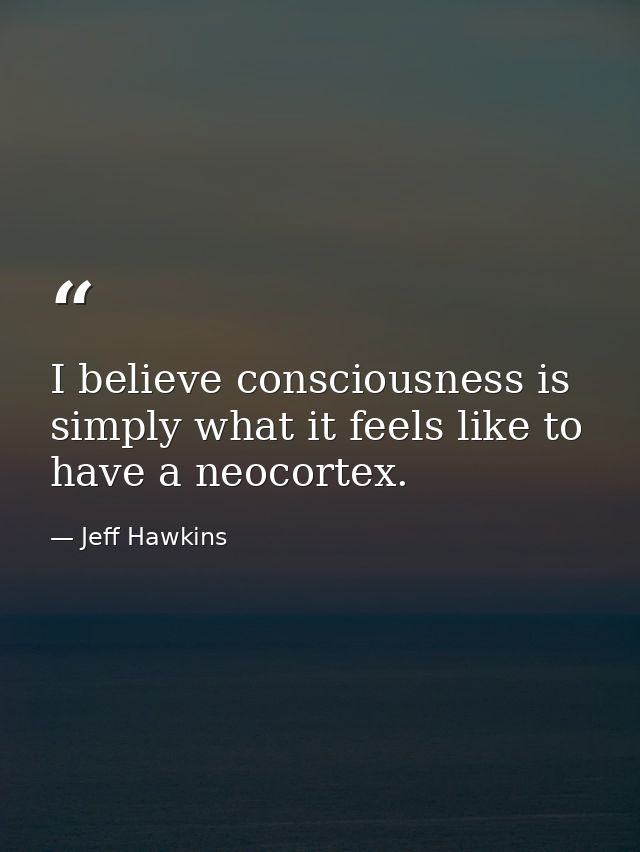 I believe consciousness is simply what it feels like to have a neocortex. — Jeff Hawkins