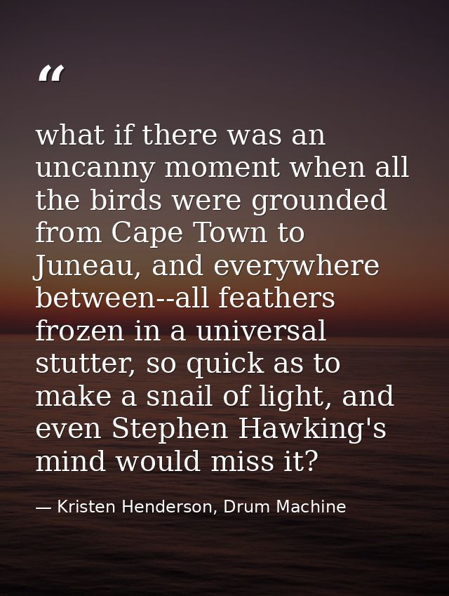 what if there was an uncanny moment when all the birds were grounded from Cape Town to Juneau, and everywhere between--a — Kristen Henderson, Drum Machine