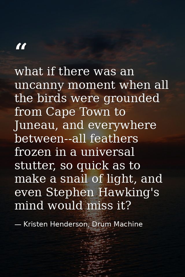 what if there was an uncanny moment when all the birds were grounded from Cape Town to Juneau, and everywhere between--a — Kristen Henderson, Drum Machine