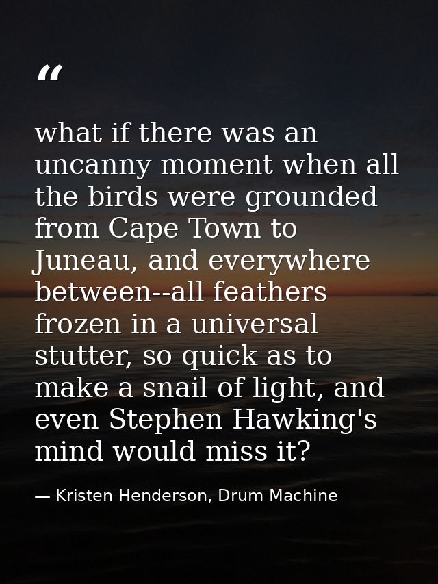 what if there was an uncanny moment when all the birds were grounded from Cape Town to Juneau, and everywhere between--a — Kristen Henderson, Drum Machine