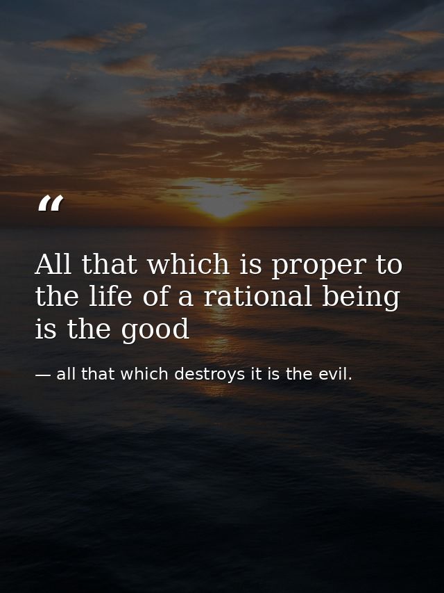 All that which is proper to the life of a rational being is the good — all that which destroys it is the evil.