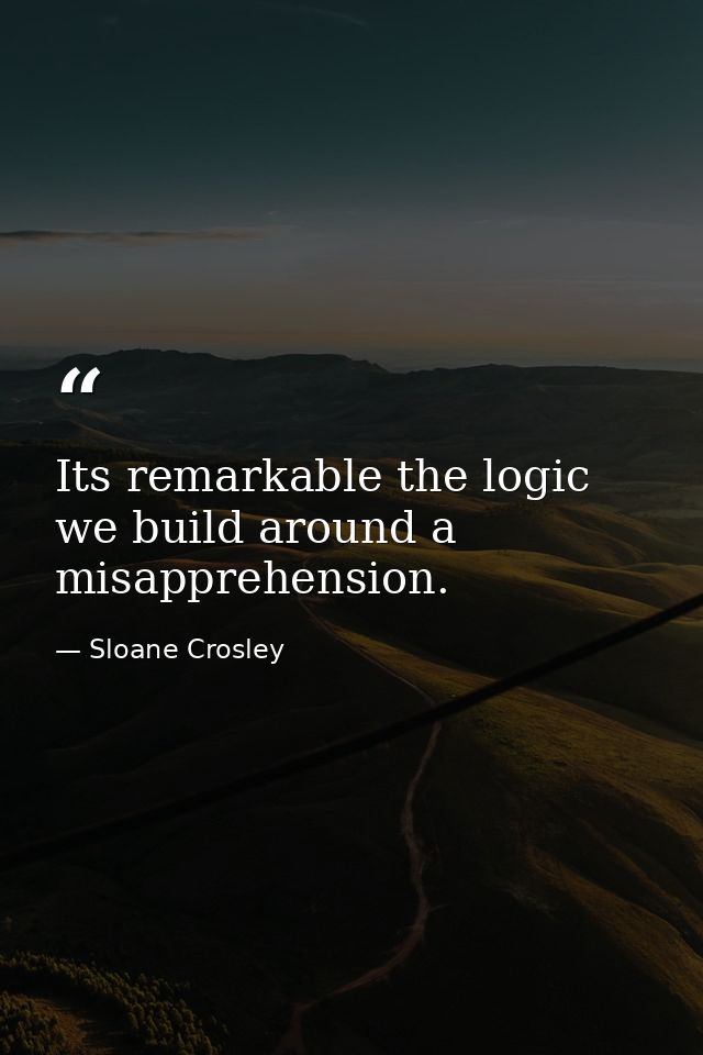 Its remarkable the logic we build around a misapprehension. — Sloane Crosley