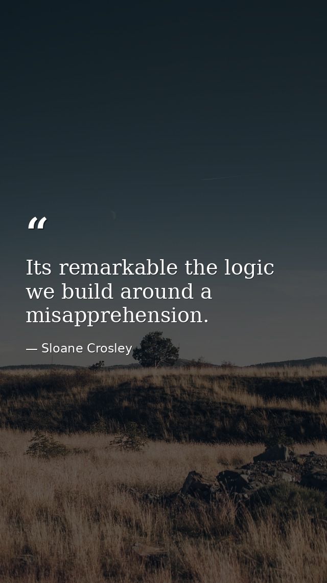 Its remarkable the logic we build around a misapprehension. — Sloane Crosley