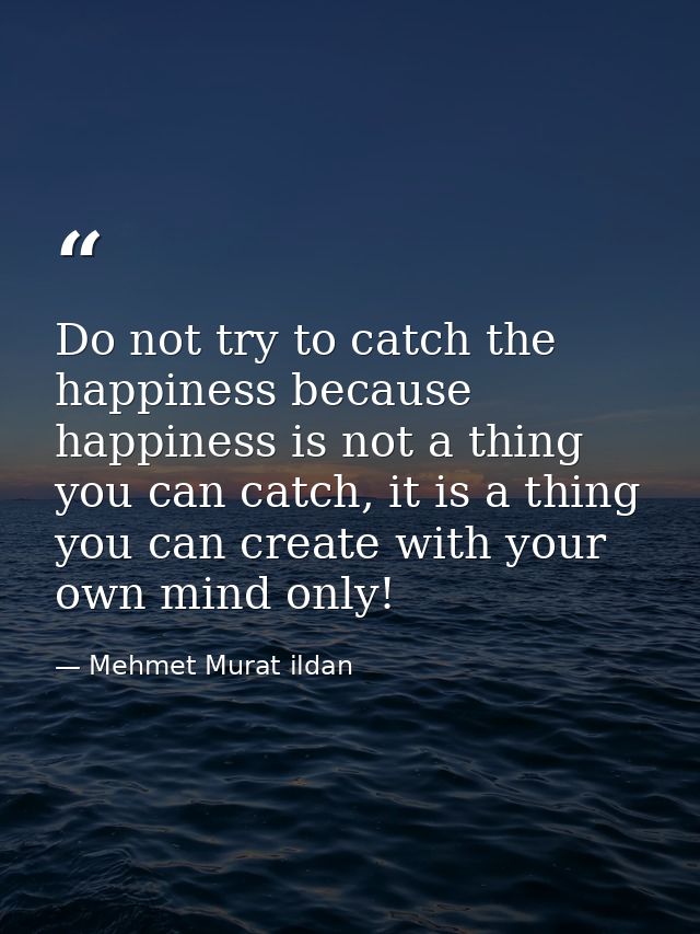 Do not try to catch the happiness because happiness is not a thing you can catch, it is a thing you can create with your — Mehmet Murat ildan