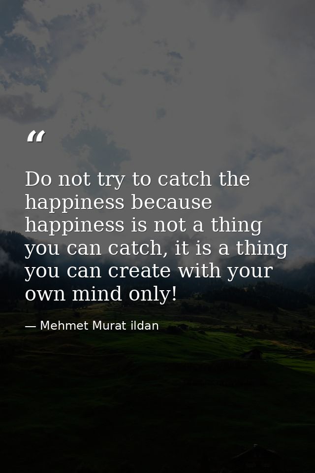 Do not try to catch the happiness because happiness is not a thing you can catch, it is a thing you can create with your — Mehmet Murat ildan