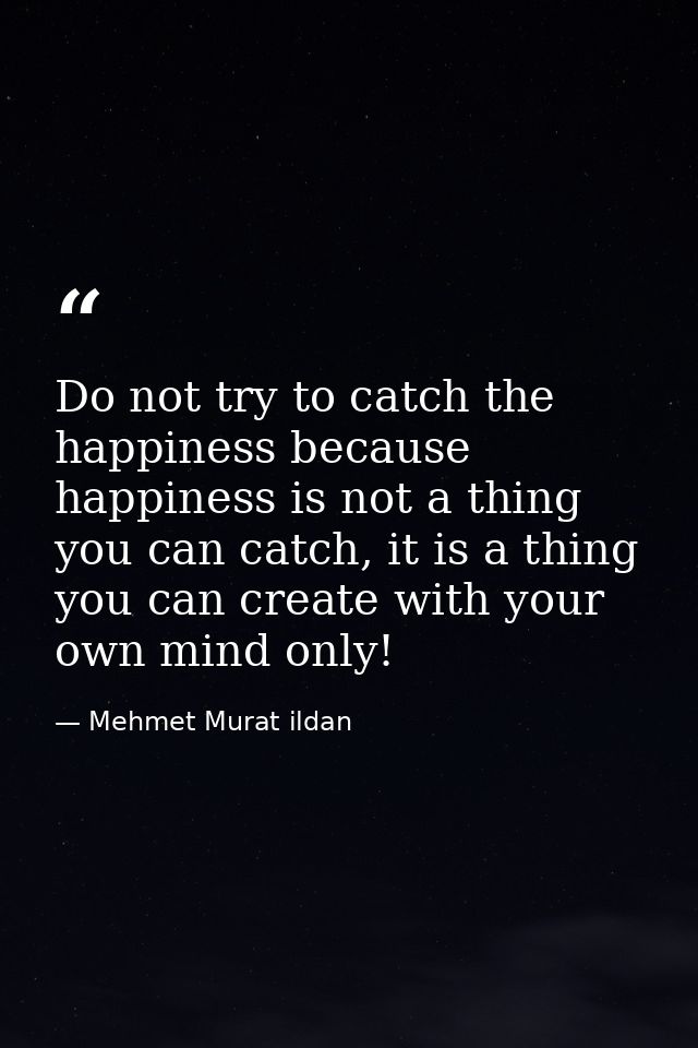 Do not try to catch the happiness because happiness is not a thing you can catch, it is a thing you can create with your — Mehmet Murat ildan