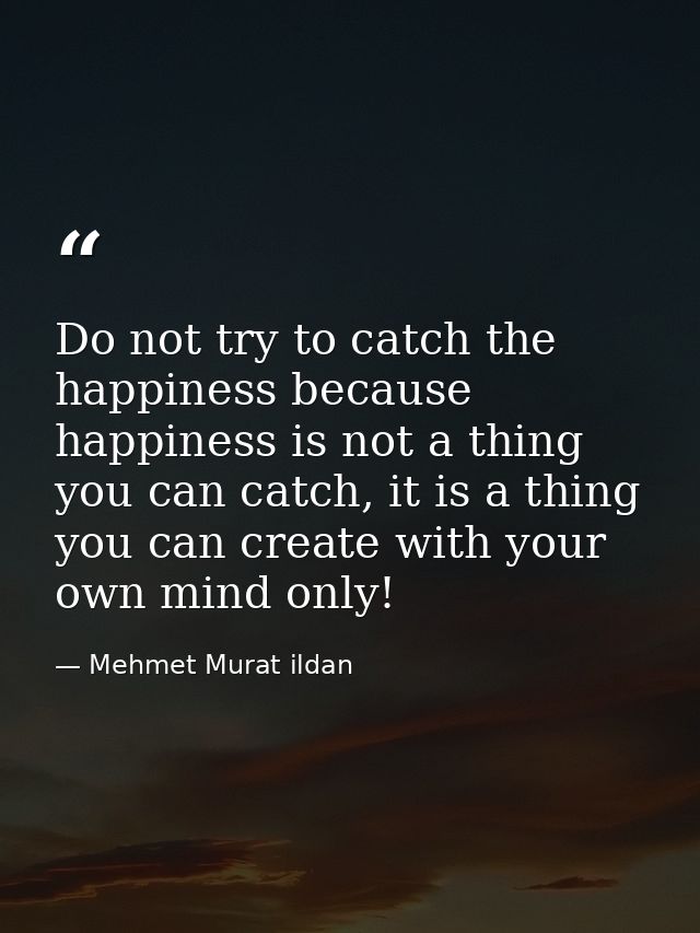 Do not try to catch the happiness because happiness is not a thing you can catch, it is a thing you can create with your — Mehmet Murat ildan