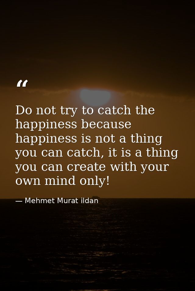 Do not try to catch the happiness because happiness is not a thing you can catch, it is a thing you can create with your — Mehmet Murat ildan