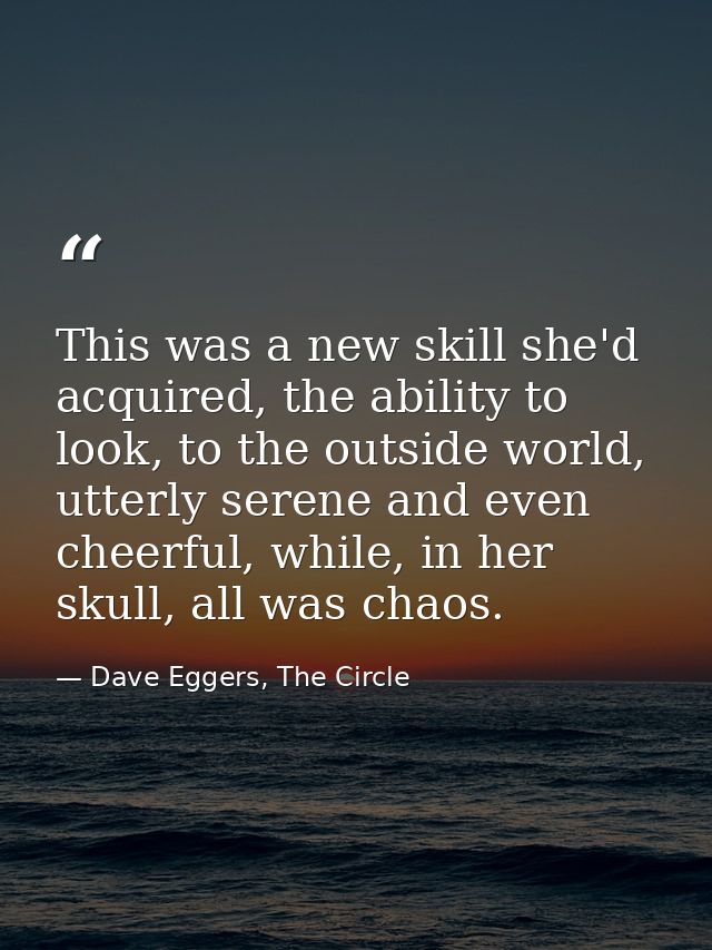 This was a new skill she'd acquired, the ability to look, to the outside world, utterly serene and even cheerful, while, — Dave Eggers, The Circle