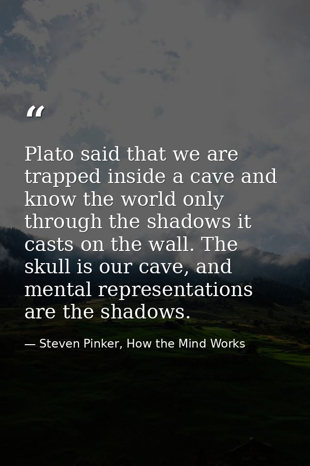 Plato said that we are trapped inside a cave and know the world only through the shadows it casts on the wall. The skull — Steven Pinker, How the Mind Works
