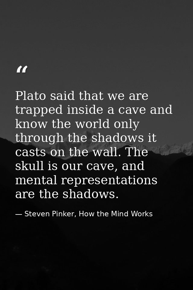 Plato said that we are trapped inside a cave and know the world only through the shadows it casts on the wall. The skull — Steven Pinker, How the Mind Works