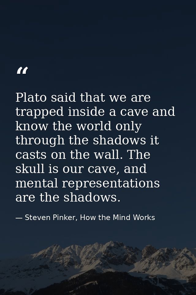 Plato said that we are trapped inside a cave and know the world only through the shadows it casts on the wall. The skull — Steven Pinker, How the Mind Works