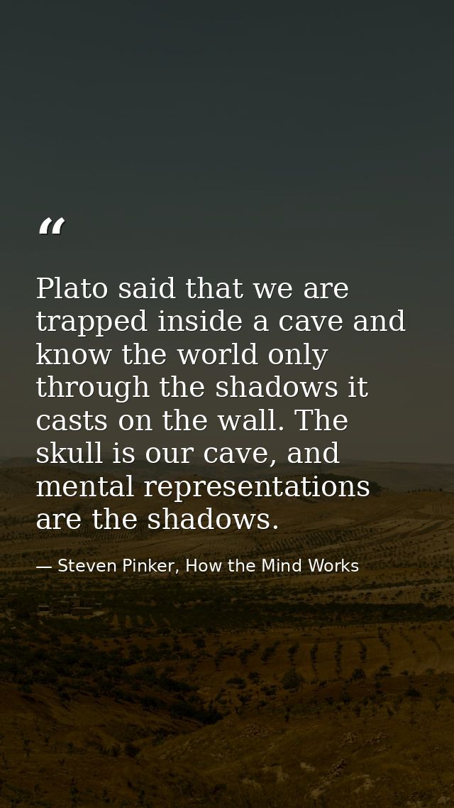 Plato said that we are trapped inside a cave and know the world only through the shadows it casts on the wall. The skull — Steven Pinker, How the Mind Works