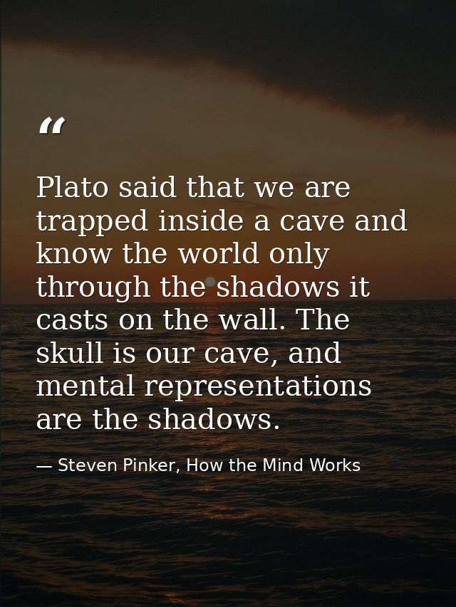 Plato said that we are trapped inside a cave and know the world only through the shadows it casts on the wall. The skull — Steven Pinker, How the Mind Works