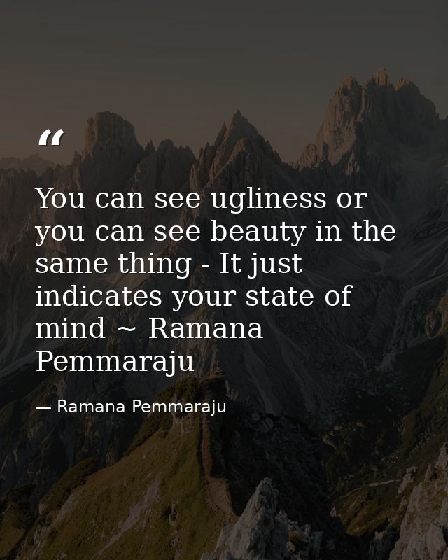 You can see ugliness or you can see beauty in the same thing - It just indicates your state of mind ~ Ramana Pemmaraju — Ramana Pemmaraju