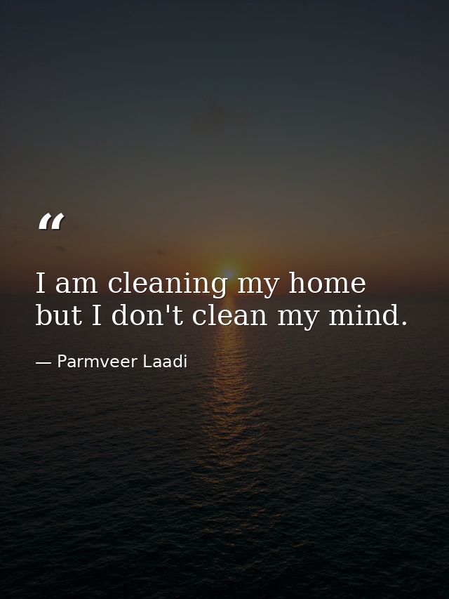 I am cleaning my home but I don't clean my mind. — Parmveer Laadi