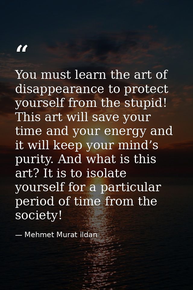 You must learn the art of disappearance to protect yourself from the stupid! This art will save your time and your energ — Mehmet Murat ildan