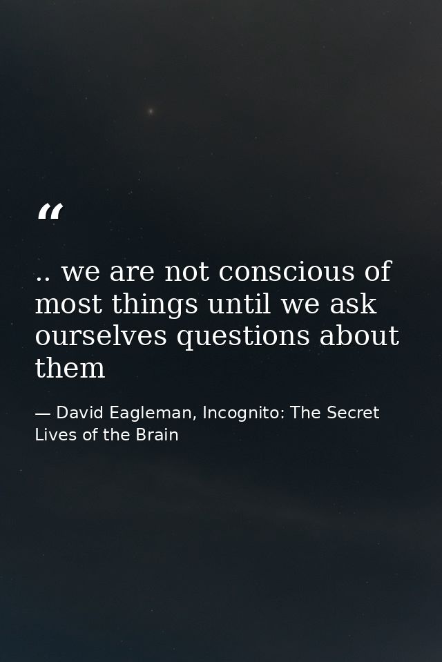 .. we are not conscious of most things until we ask ourselves questions about them — David Eagleman, Incognito: The Secret Lives of the Brain