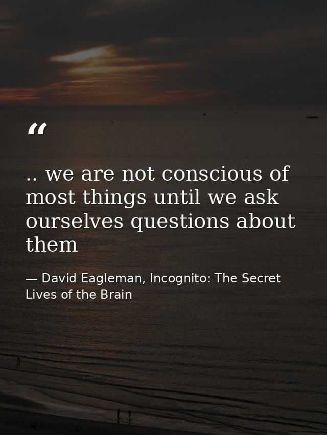 .. we are not conscious of most things until we ask ourselves questions about them — David Eagleman, Incognito: The Secret Lives of the Brain