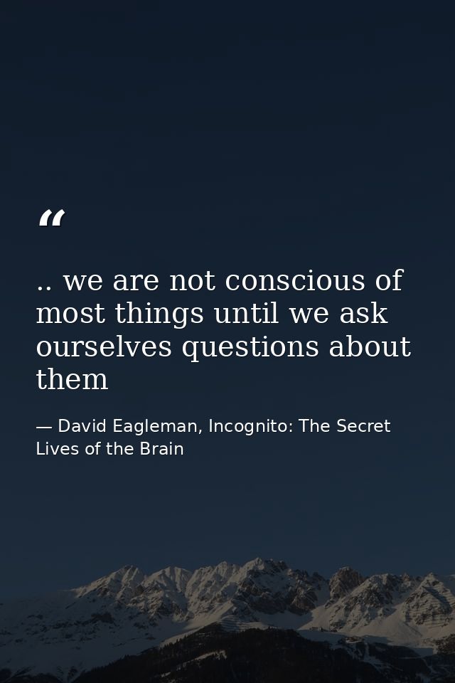 .. we are not conscious of most things until we ask ourselves questions about them — David Eagleman, Incognito: The Secret Lives of the Brain