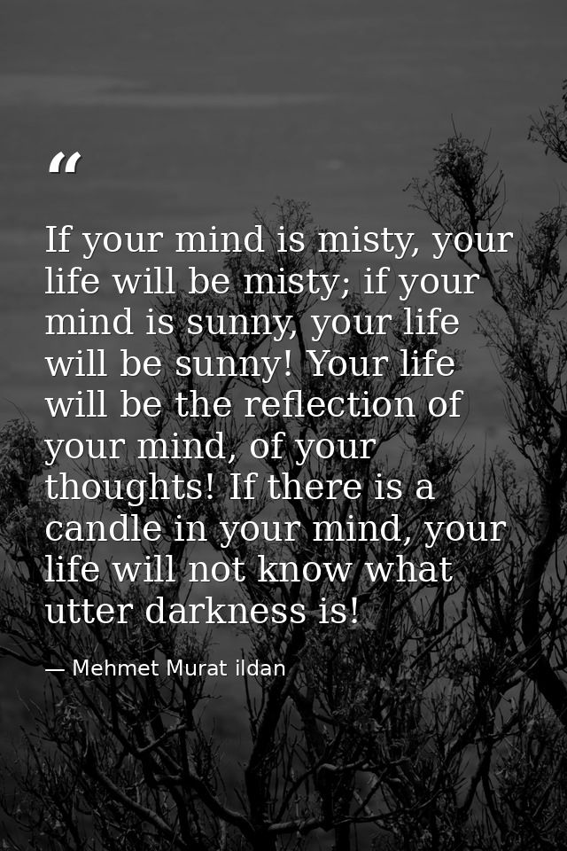 If your mind is misty, your life will be misty; if your mind is sunny, your life will be sunny! Your life will be the re — Mehmet Murat ildan