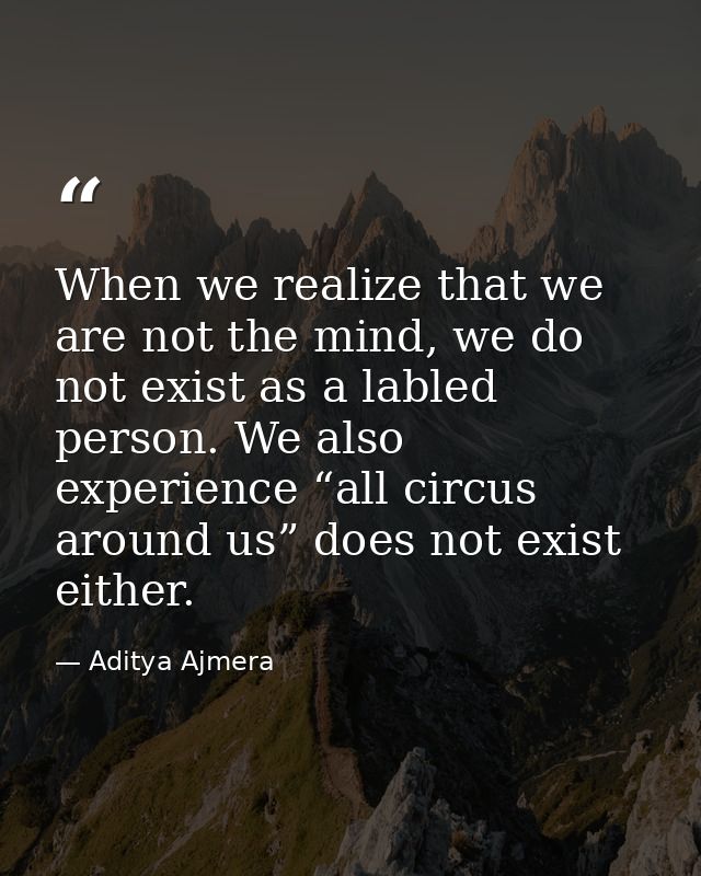 When we realize that we are not the mind, we do not exist as a labled person. We also experience “all circus around us”  — Aditya Ajmera