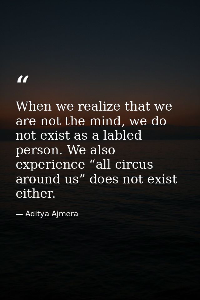 When we realize that we are not the mind, we do not exist as a labled person. We also experience “all circus around us”  — Aditya Ajmera