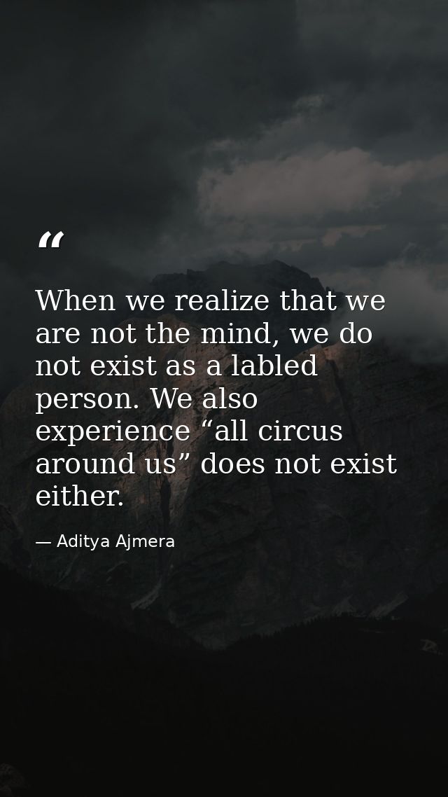 When we realize that we are not the mind, we do not exist as a labled person. We also experience “all circus around us”  — Aditya Ajmera