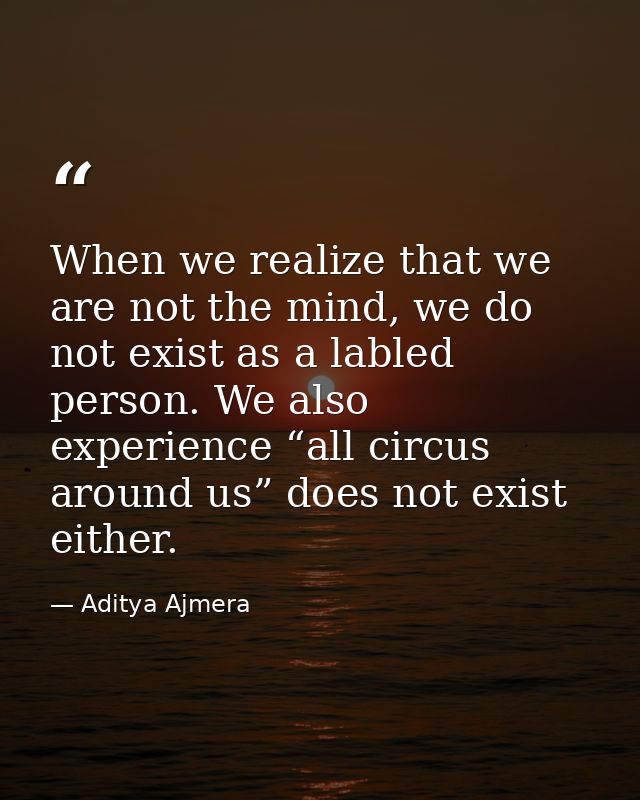 When we realize that we are not the mind, we do not exist as a labled person. We also experience “all circus around us”  — Aditya Ajmera