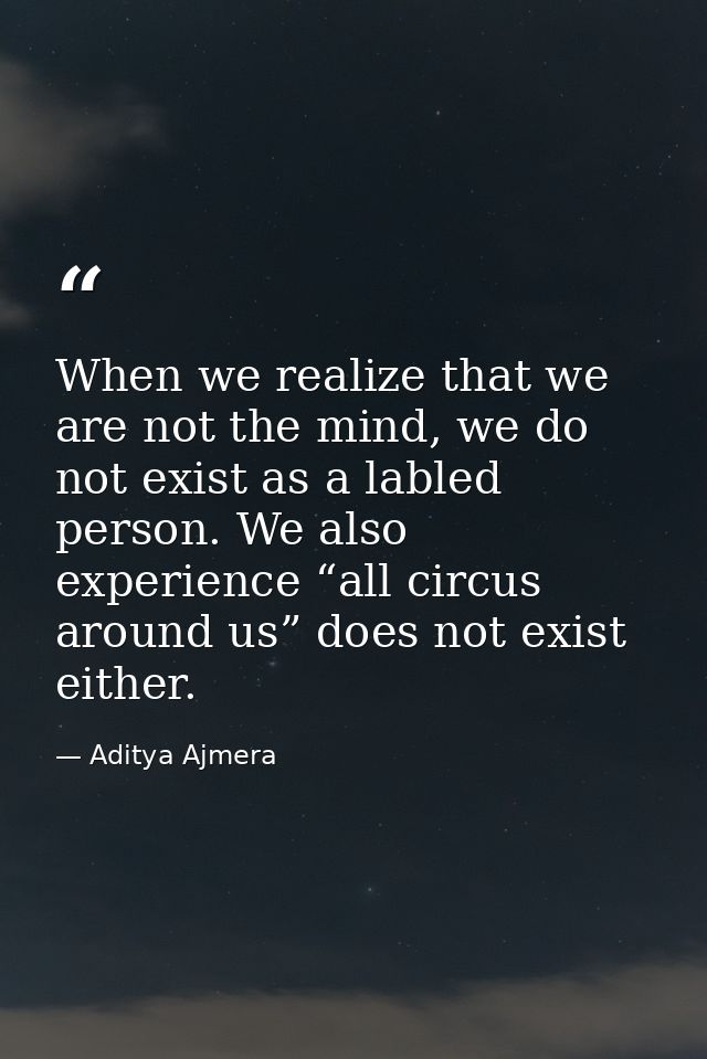 When we realize that we are not the mind, we do not exist as a labled person. We also experience “all circus around us”  — Aditya Ajmera