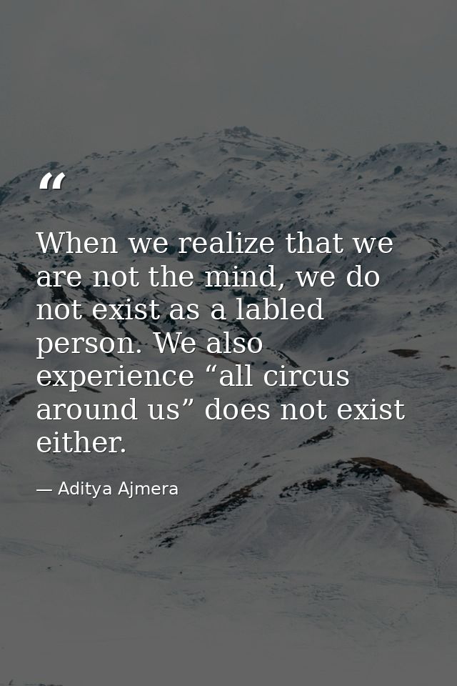 When we realize that we are not the mind, we do not exist as a labled person. We also experience “all circus around us”  — Aditya Ajmera