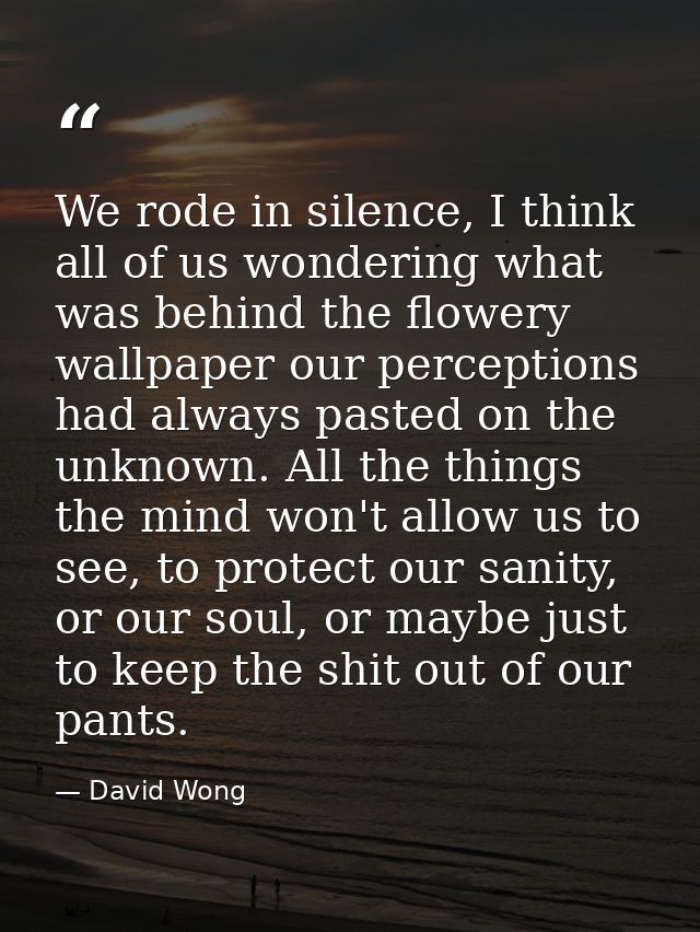 We rode in silence, I think all of us wondering what was behind the flowery wallpaper our perceptions had always pasted  — David Wong