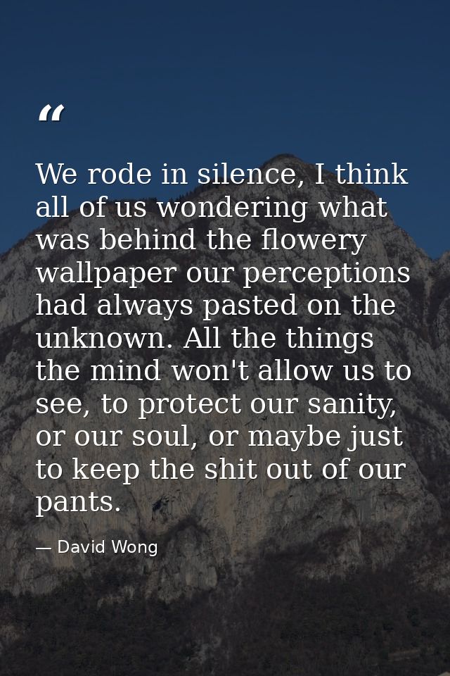 We rode in silence, I think all of us wondering what was behind the flowery wallpaper our perceptions had always pasted  — David Wong