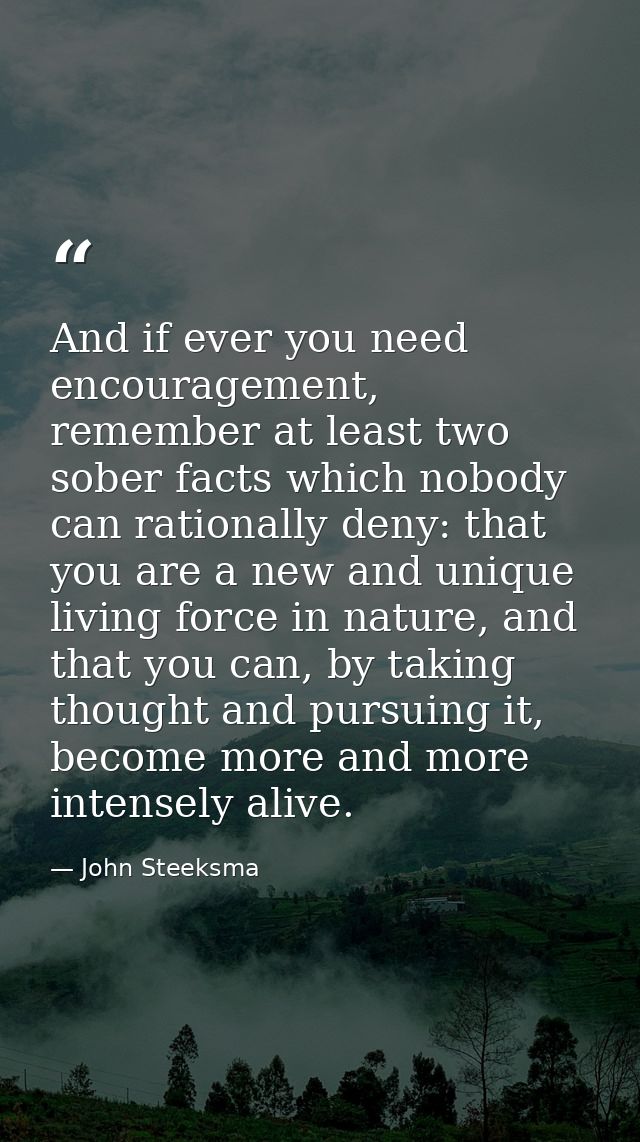 And if ever you need encouragement, remember at least two sober facts which nobody can rationally deny: that you are a n — John Steeksma