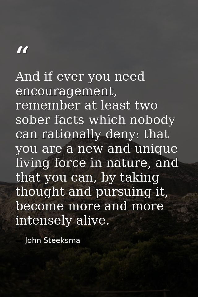 And if ever you need encouragement, remember at least two sober facts which nobody can rationally deny: that you are a n — John Steeksma