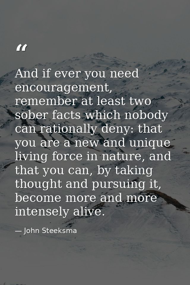 And if ever you need encouragement, remember at least two sober facts which nobody can rationally deny: that you are a n — John Steeksma
