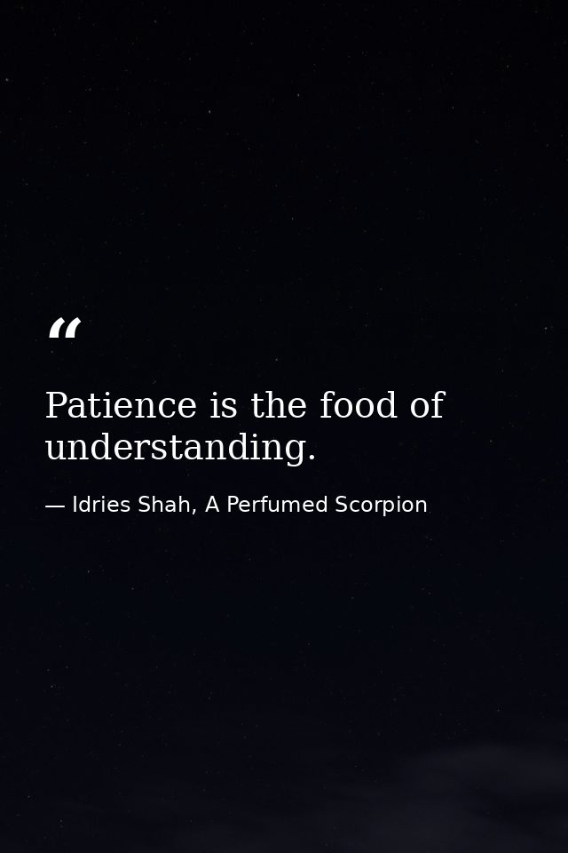 Patience is the food of understanding. — Idries Shah, A Perfumed Scorpion