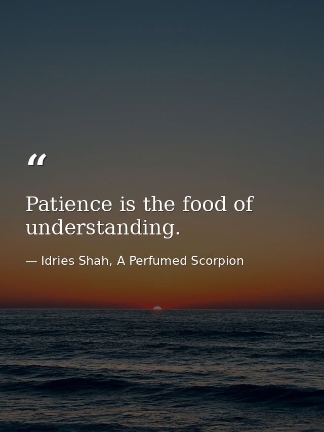 Patience is the food of understanding. — Idries Shah, A Perfumed Scorpion