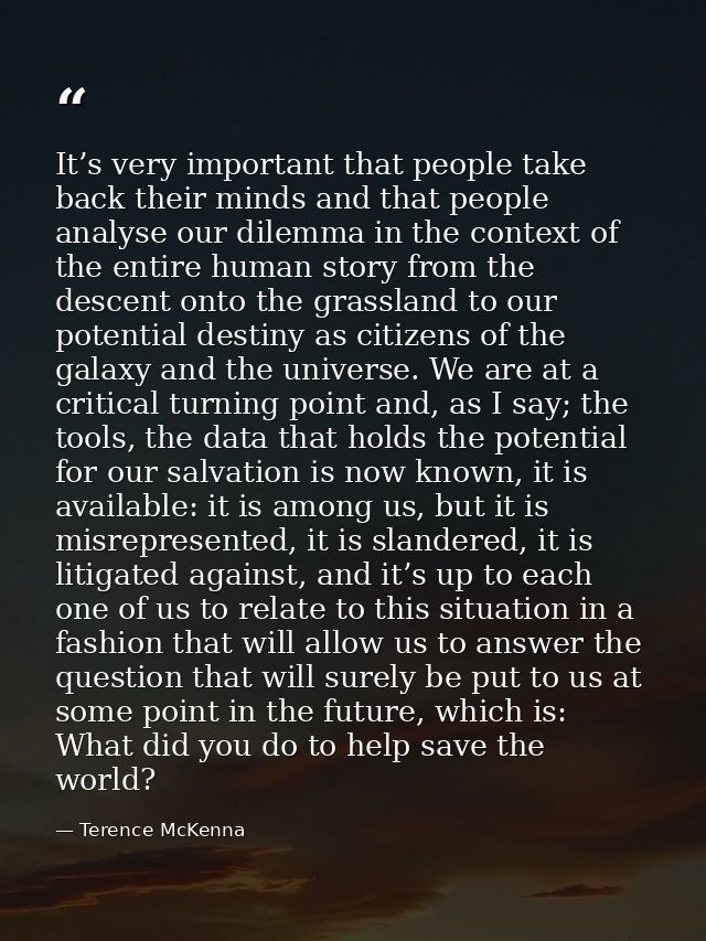 It’s very important that people take back their minds and that people analyse our dilemma in the context of the entire h — Terence McKenna