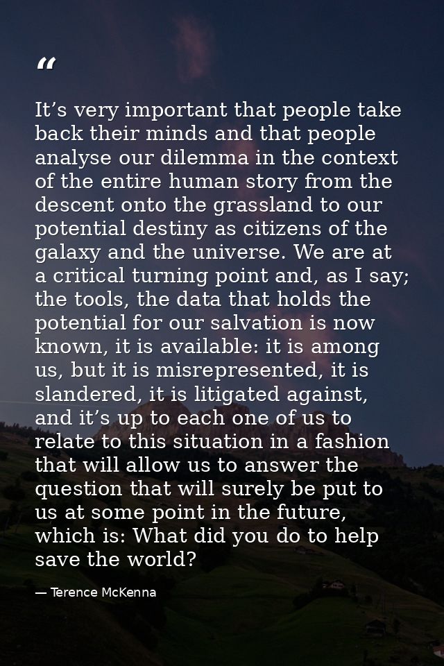 It’s very important that people take back their minds and that people analyse our dilemma in the context of the entire h — Terence McKenna