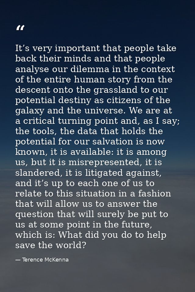 It’s very important that people take back their minds and that people analyse our dilemma in the context of the entire h — Terence McKenna