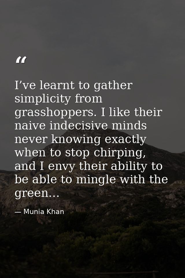 I’ve learnt to gather simplicity from grasshoppers. I like their naive indecisive minds never knowing exactly when to st — Munia Khan