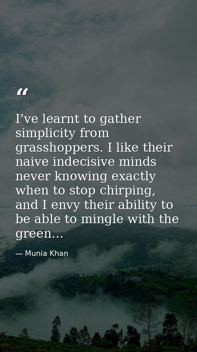 I’ve learnt to gather simplicity from grasshoppers. I like their naive indecisive minds never knowing exactly when to st — Munia Khan
