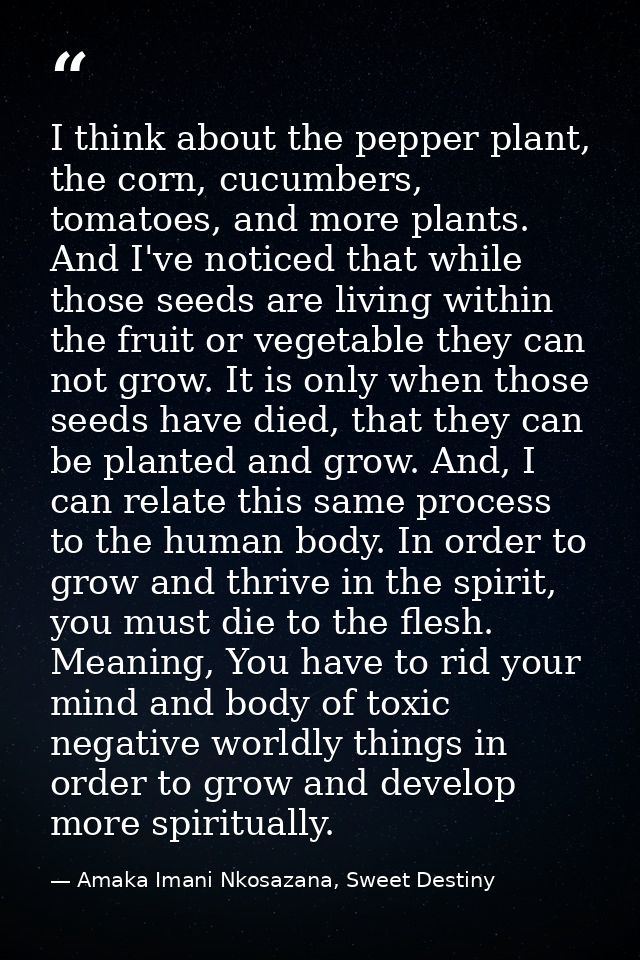 I think about the pepper plant, the corn, cucumbers, tomatoes, and more plants. And I've noticed that while those seeds  — Amaka Imani Nkosazana, Sweet Destiny
