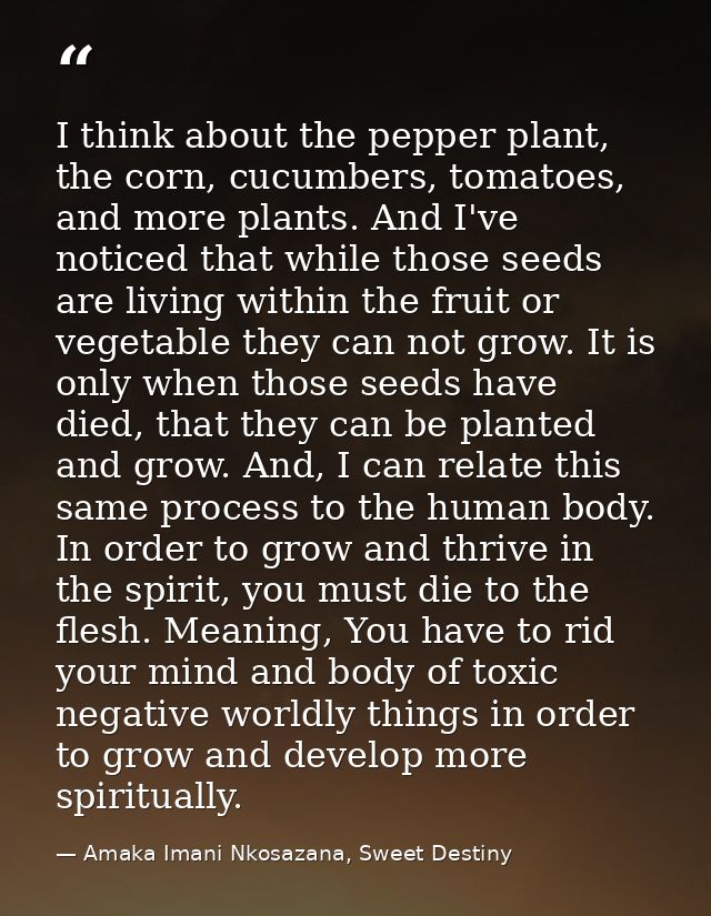 I think about the pepper plant, the corn, cucumbers, tomatoes, and more plants. And I've noticed that while those seeds  — Amaka Imani Nkosazana, Sweet Destiny